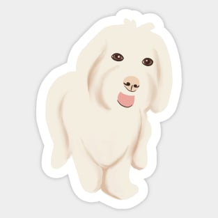 Cute Maltipoo Dog Sticker